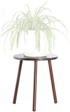 Load image into Gallery viewer, Small Round Side Table Indoor Tall Plant Stand