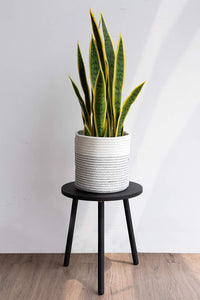 Small Round Side Table Indoor Tall Plant Stand