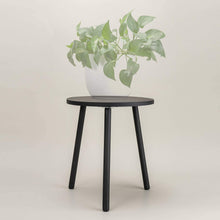 Load image into Gallery viewer, Small Round Side Table Indoor Tall Plant Stand