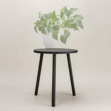 Load image into Gallery viewer, Small Round Side Table Indoor Tall Plant Stand